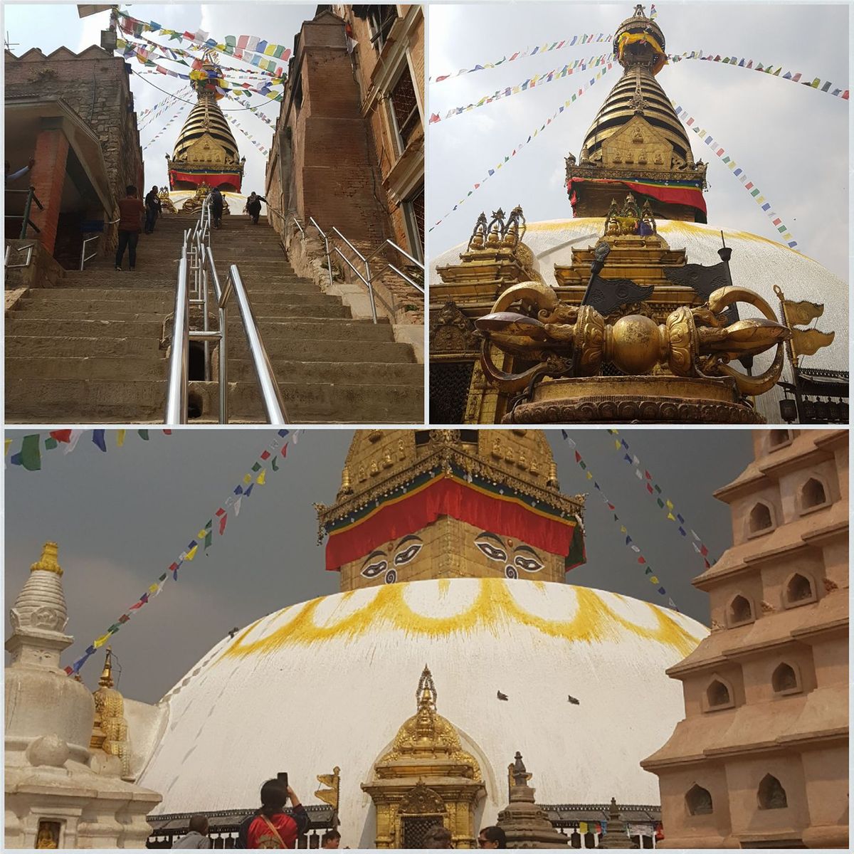 31603208_1879711825424678_2451563467086233600_n