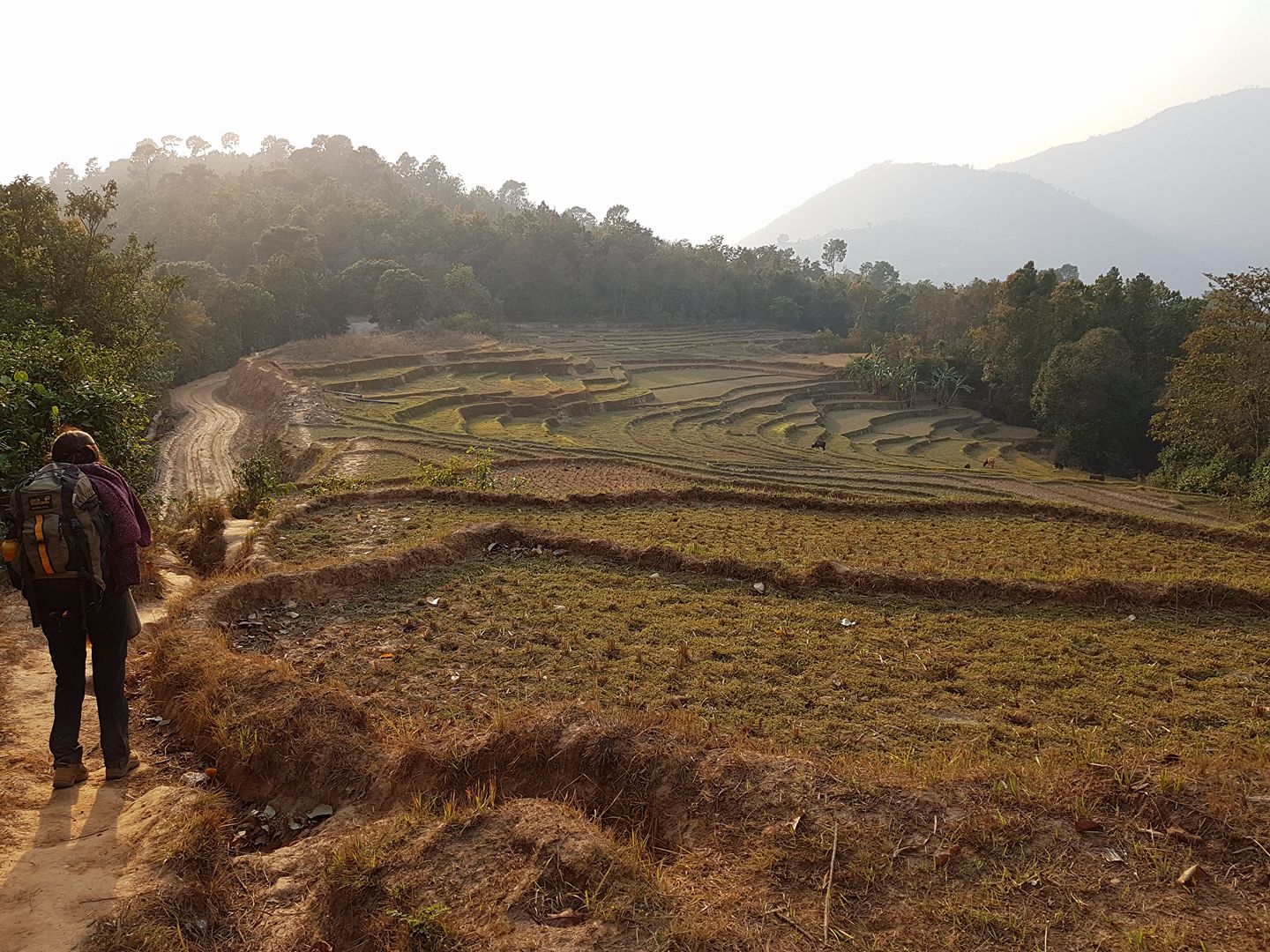 32460885_1893216877407506_3865757448740536320_n